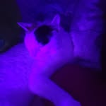 Randy / Dandy - @illmatic.dandy - Instagram