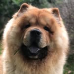 Randy - @_randydandy_ - Instagram