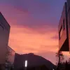 RandyDandy1 - @randy.dandy.1 - TikTok