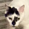 RandyDandy - @randysodandy - TikTok