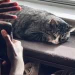 randy dang - @r.h.dang - Instagram