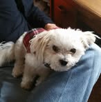Randy Darr - Facebook