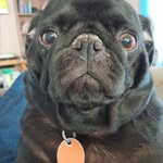 Randy Darrah - @maintmech2 - Instagram
