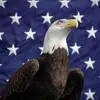 Randy Daugherty825 - @randydaugherty825 - TikTok
