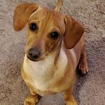 Randy Daugherty - @daugherty_randy - Instagram