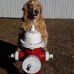 Randy Davey - @daveyrandy - Instagram