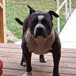 Randy Deal - @randy.deal.56 - Instagram