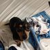 Randall Dearing - Facebook