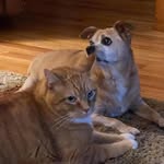 Randy Dearing - @dearing393 - Instagram