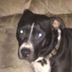 Randy - @randy_deaton - Instagram