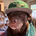 Randall DeBord - @randalldebord - Instagram