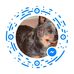 Randy Dee - Facebook