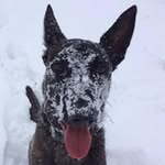 Randy Deering - @randycheryl85 - Instagram