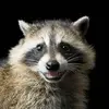 Randy Defoor - @randydefoor - TikTok