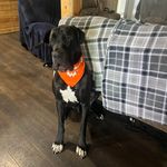 Randy Degner - @randydegner - Instagram