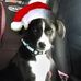 Randy Dempsey - Facebook