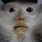 Randy Depoy - @randydepoy - Instagram