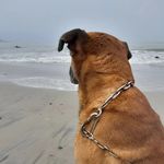 Randy - @randy_derby1512 - Instagram