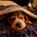 Randy Derosier - Facebook