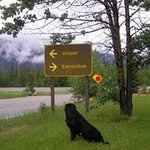 Randy Devine - @randy.devine.92 - Instagram