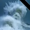 randydevoe592 - @randydevoe592 - TikTok