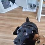 Randy Dillon - @randy.dillon.984 - Instagram