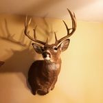 Randy Dobson - @randobson - Instagram