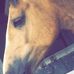 Randy Dobson - Facebook