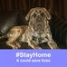 Randy Dooley - Facebook