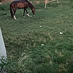 Randy Dougal - Facebook