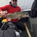 Randy Dougan - @randy.dougan - Instagram