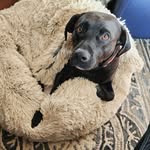 Randy Dowd - @dowdrandy - Instagram