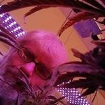 Randy Down - @randy_g_diwn_ - Instagram