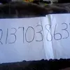 12137038635 - @randydowney0 - TikTok