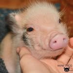 @randy_downey_ - Instagram
