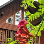 Randy & Naomi Drake - @drakecabin - Instagram