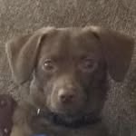 Randy Dudley - @rcdud55 - Instagram