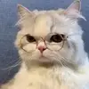 Randy Dudley - @randy.dudley7 - TikTok