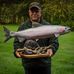 Randy Dunbar Carving and Photography - Facebook