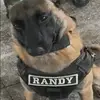 randy.dunkin - @randy.dunkin - TikTok