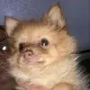 Randy - @randyburke2 - TikTok