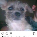 randy.dykes - @randy.dykes7 - Instagram
