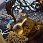 Randy Reagan - @randy.reagan.370 - Instagram