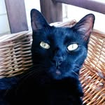 Randy Reagan - @randy.reagan.37 - Instagram
