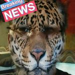 Randy Easter - @randyeaster52 - Instagram