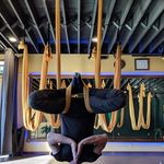 Randy Eckert - @redearthbonsai - Instagram