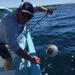 Randy Eddy - @randyeddy2 - Instagram