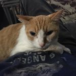 Randy Foregger - @foreggerrandy - Instagram