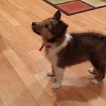 Randy N Ellen Polk - @randynellen - Instagram