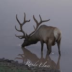 Randy Elmer - @randy_elmer - Instagram